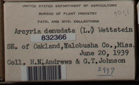 Image Associated With the Occurence